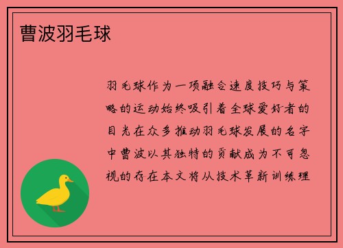 曹波羽毛球