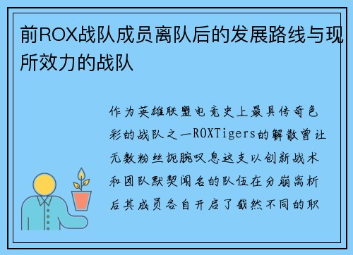 前ROX战队成员离队后的发展路线与现所效力的战队