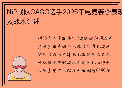 NiP战队CAGO选手2025年电竞赛季表现及战术评述